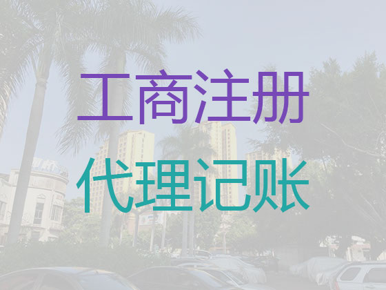 三亚代理公司记账服务|代办分公司记账代理